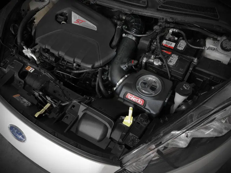 Afe Power Momentum Gt Pro Dry S Air Intake System For Ford Fiesta St 16-19 L4-1.6L 2