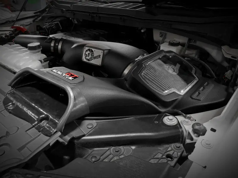 Afe Power Momentum Gt Pro Dry S Intake System For 2021+ Ford F-150 V6-3.5L (Tt) 2
