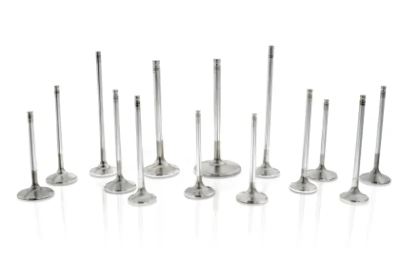 Ferrea Intake Valve 32.8Mm 5.47Mm Stem Set6 Toyota G16e-Gts 1