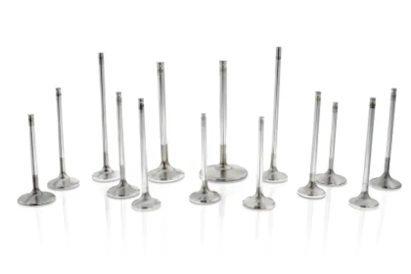 Ferrea Intake Valves Toyota/Bmw B58 3.0L 30.6Mm 4.97Mm 99.15Mm 19 Deg - Set Of 12 1