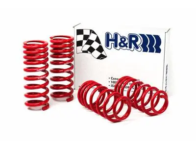 H&R 1994–1995 Race Spring For Ford Mustang And Mustang Cobra V8 Models (1994–1995) 1