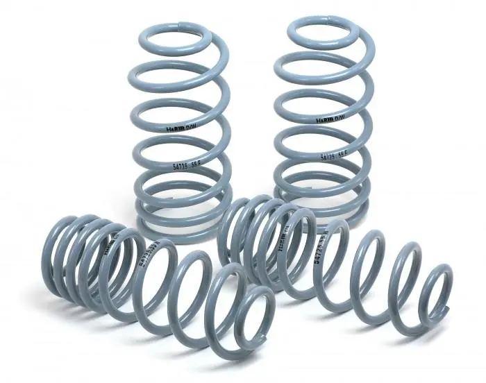 H&R Oe Sport Spring Suspension For 1990–1993 Acura Integra – Oe Sport Performance Spring 1
