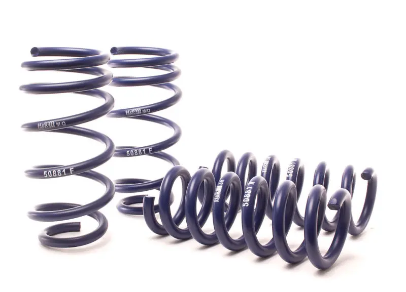 H&R Sport Spring For 11-21 Dodge Charger Se/Sxt/Sxt Plus (2Wd/4Wd) Rallye/Plus/V6 2
