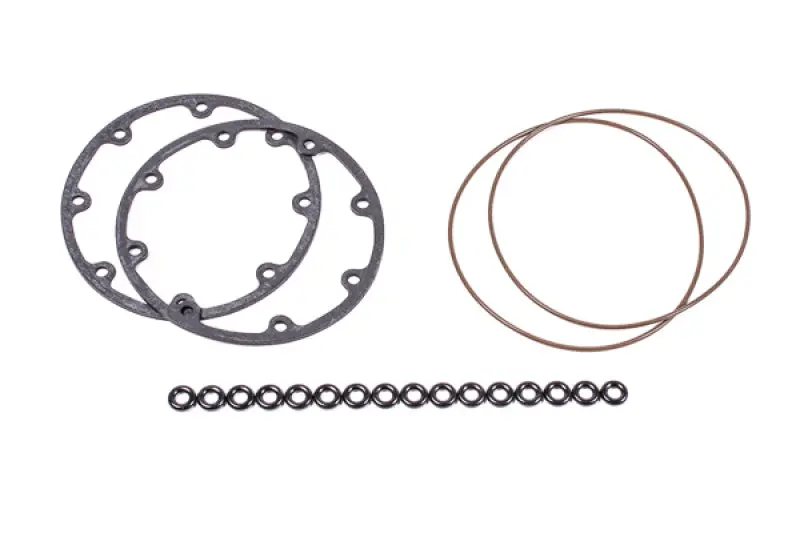 Radium Engineering Fuel Surge Tank O-Ring Service Kit 1