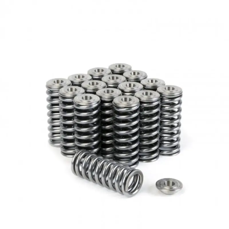 Skunk2 Alpha Series Valve Spring And Titanium Retainer Kit For Honda/Acura D Series Civic 1992-2000 1