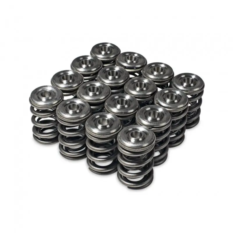 Skunk2 Alpha Series Valve Spring And Titanium Retainer Kit For Honda/Acura H Series 1