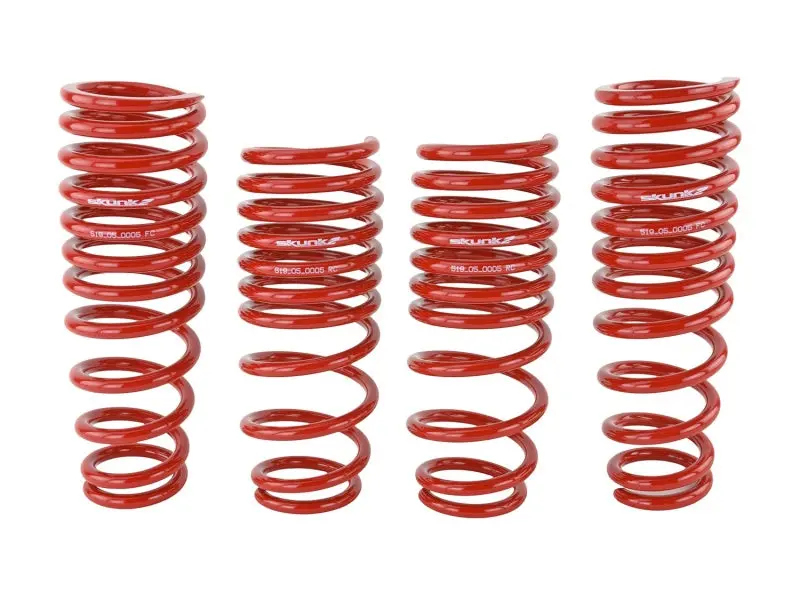 Skunk2 Lowering Springs 2.50In - 2.25In (Set Of 4) For 94-01 Acura Integra 2