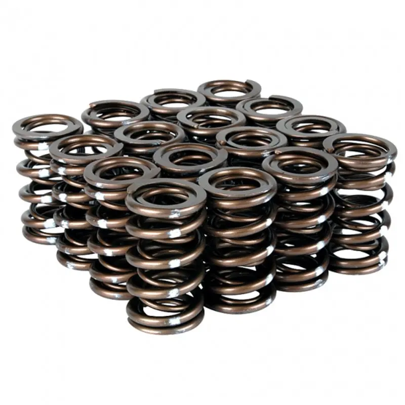 Skunk2 Racing Pro Series Vtec Xp Valve Spring Set For Honda/Acura B-Series 1992-2001 Integra Gs-R, 1997-2001 Type R, 1999-2000 Civic Si 1