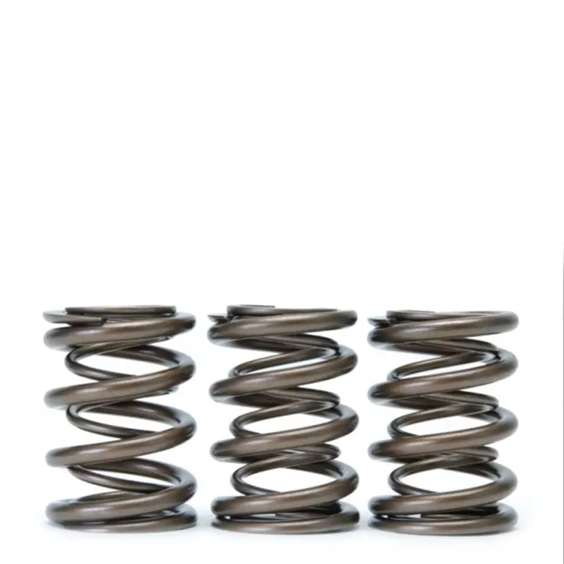 Skunk2 Tuner Series Alpha Valve Spring Set Dual Springs For Honda/Acura H22a F20b 1993-2001 Prelude 2