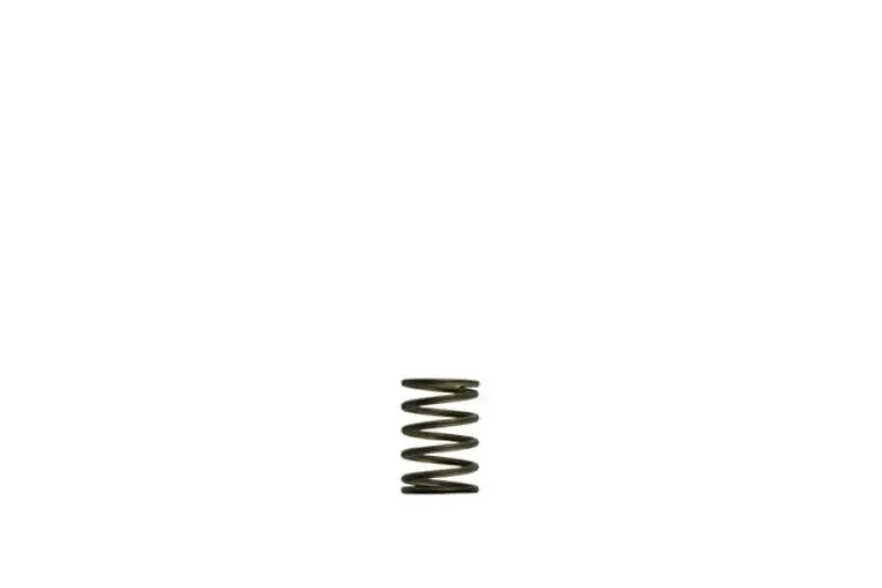Turbosmart Gen-V Wg38/40 3Psi Black Inner Spring For Turbochargers 1