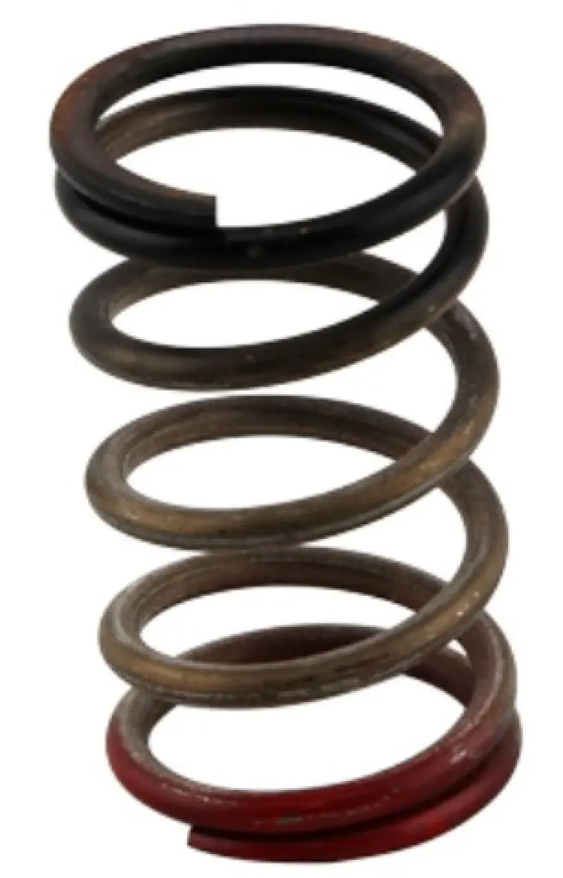 Turbosmart Gen-V Wg40/45 Hp 40 Psi Spring Upgrade Black Red 2