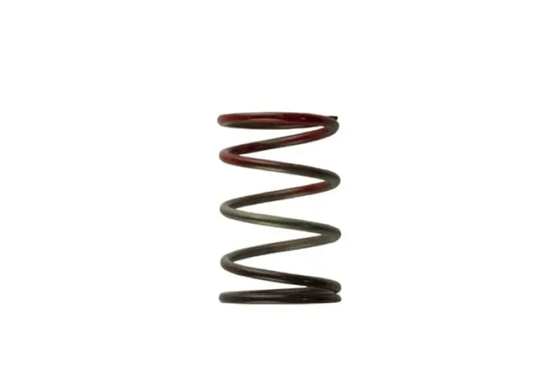 Turbosmart Wg40 11Psi Middle Spring Brown Red Performance Upgrade 1