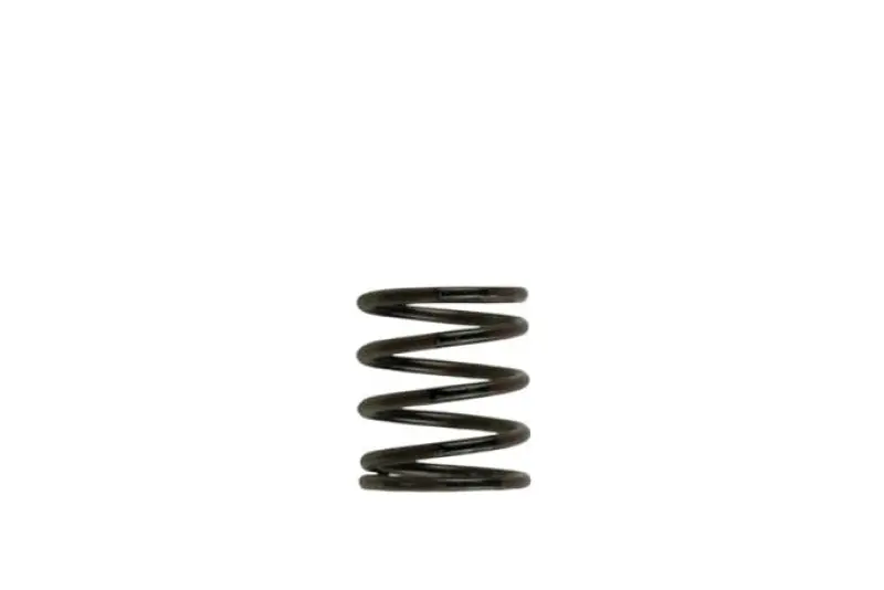 Turbosmart Wg40 3Psi Inner Spring Brown/Black Performance Upgrade 1