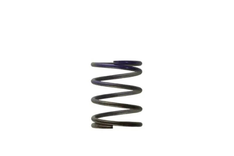 Turbosmart Wg40 7Psi Middle Spring Brown Purple 1