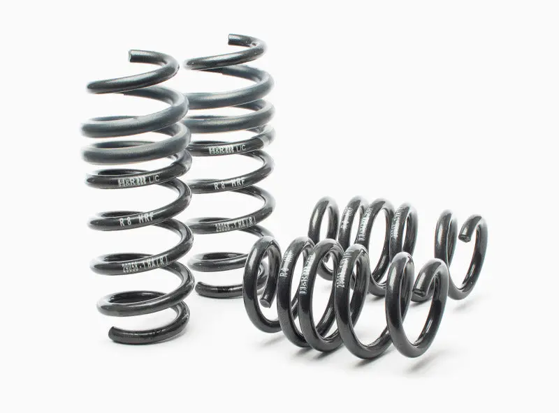 H&R Sport Lowering Springs For 2008–2015 Audi R8 And R8 Spyder (V8/V10 Models) 1